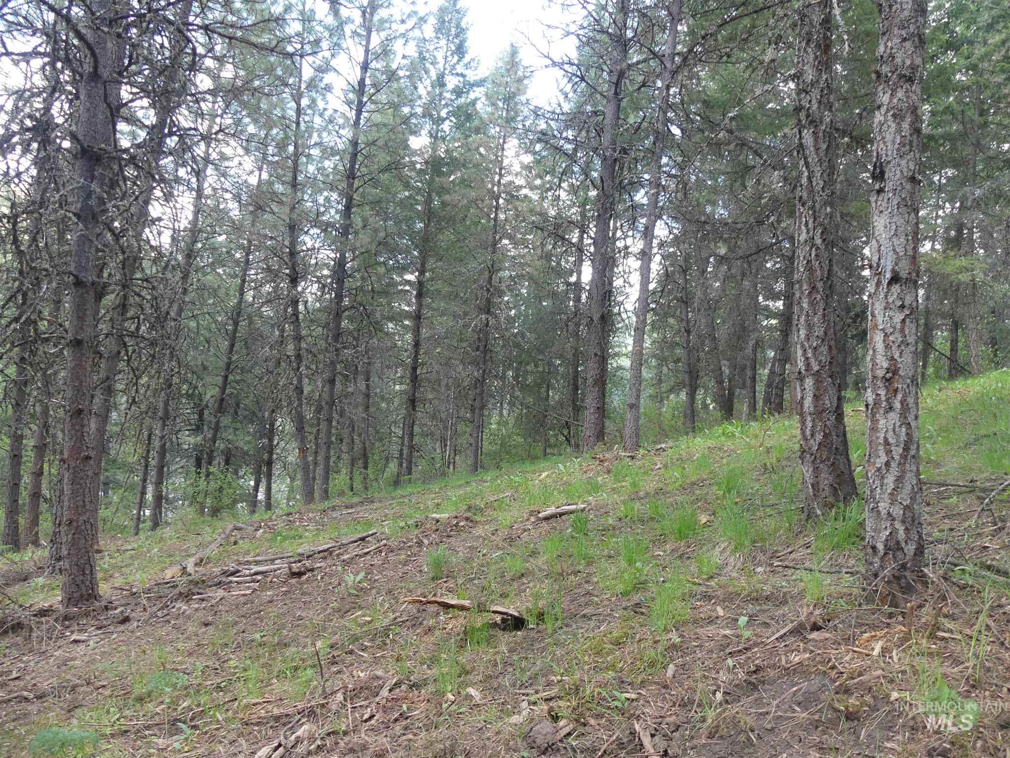 22743 Old Melrose Grade Road Peck, ID 83545 - Photo 16 of 45