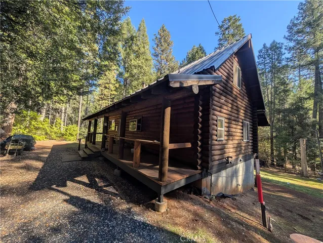 a view of a backyard with a large tree