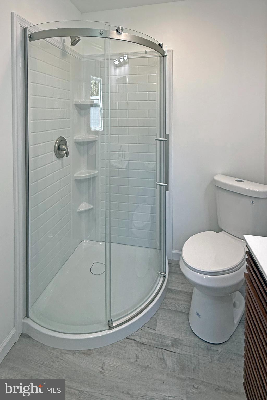 33308 Lighthouse Court, Unit D18 Lewes, DE 19958 - Photo 25 of 39 a bathroom with a toilet and a shower