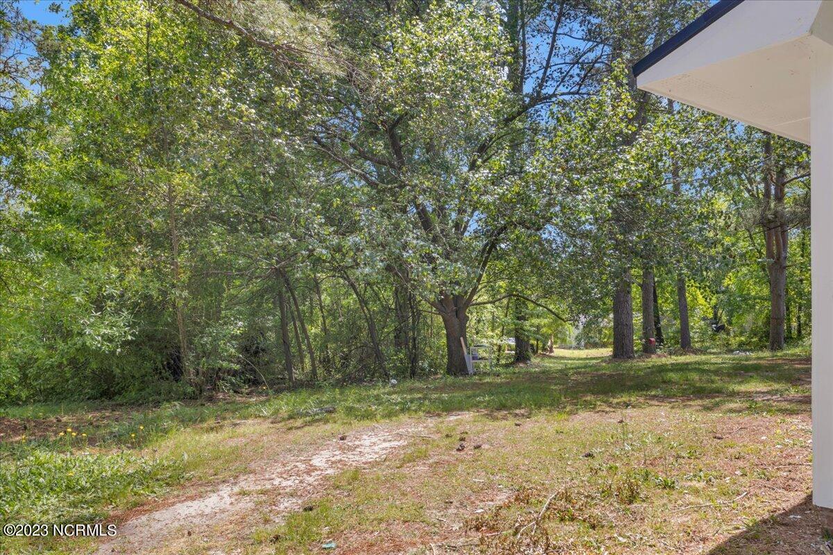 1345 South Long Drive Rockingham, NC 28379 - Photo 35 of 36 43-IMG_3272