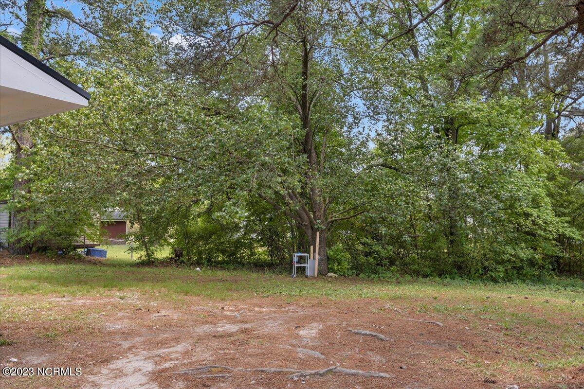 1345 South Long Drive Rockingham, NC 28379 - Photo 36 of 36 45-IMG_3278