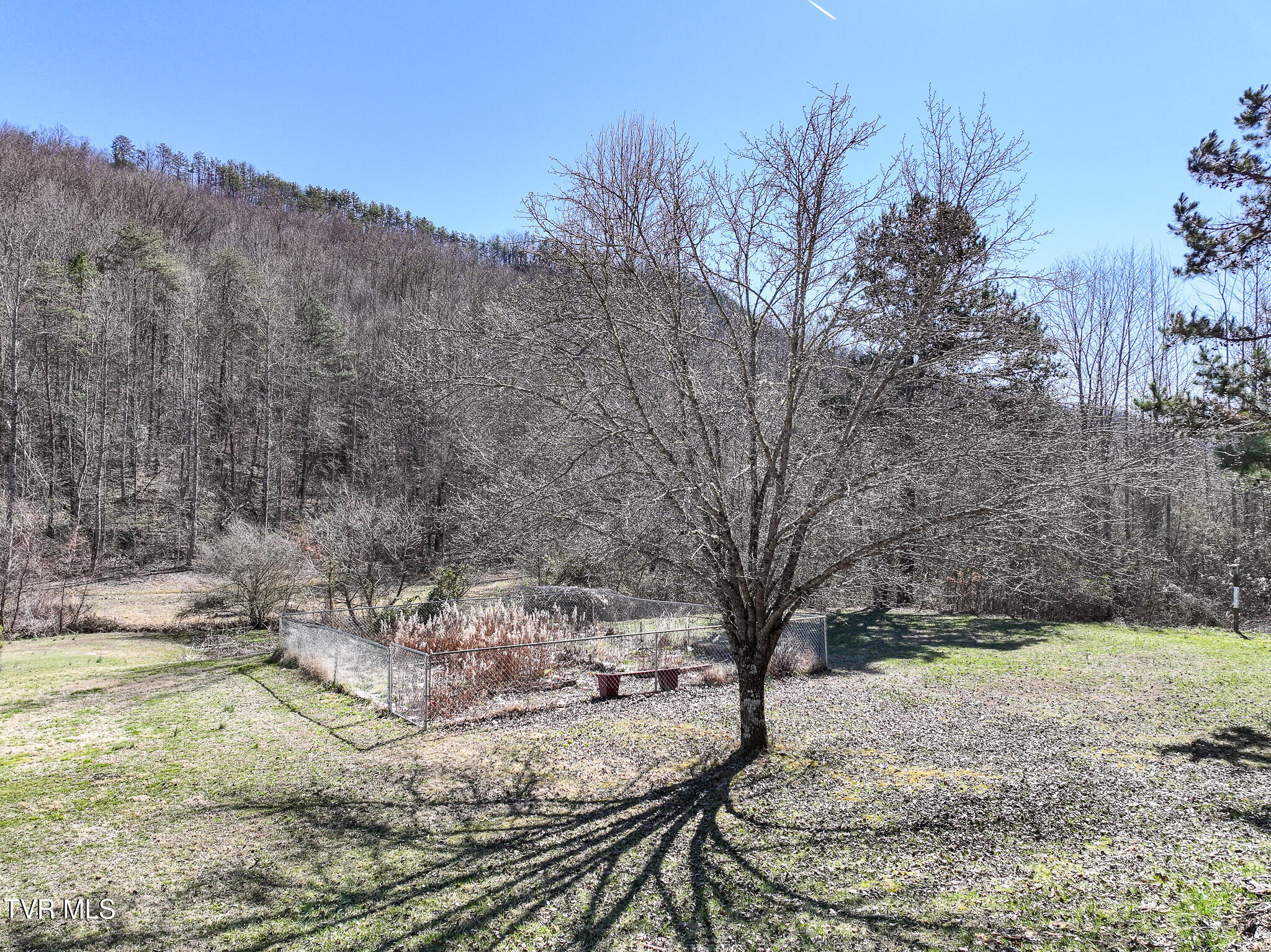 314 Cave Springs Road Rogersville, TN 37857 - Photo 48 of 70 DJI_20250303143946_0691_D