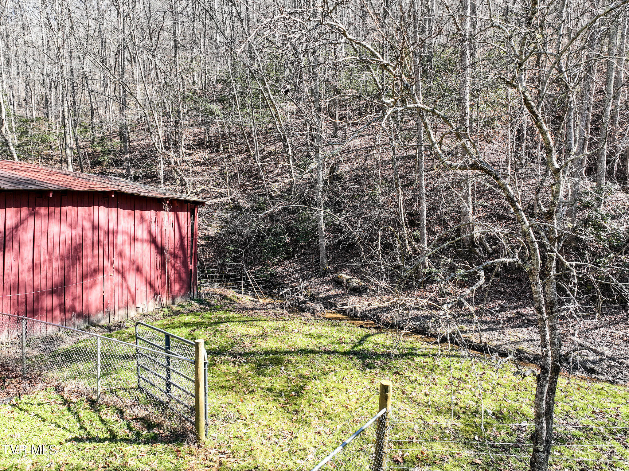 314 Cave Springs Road Rogersville, TN 37857 - Photo 54 of 70 DJI_20250303144719_0718_D