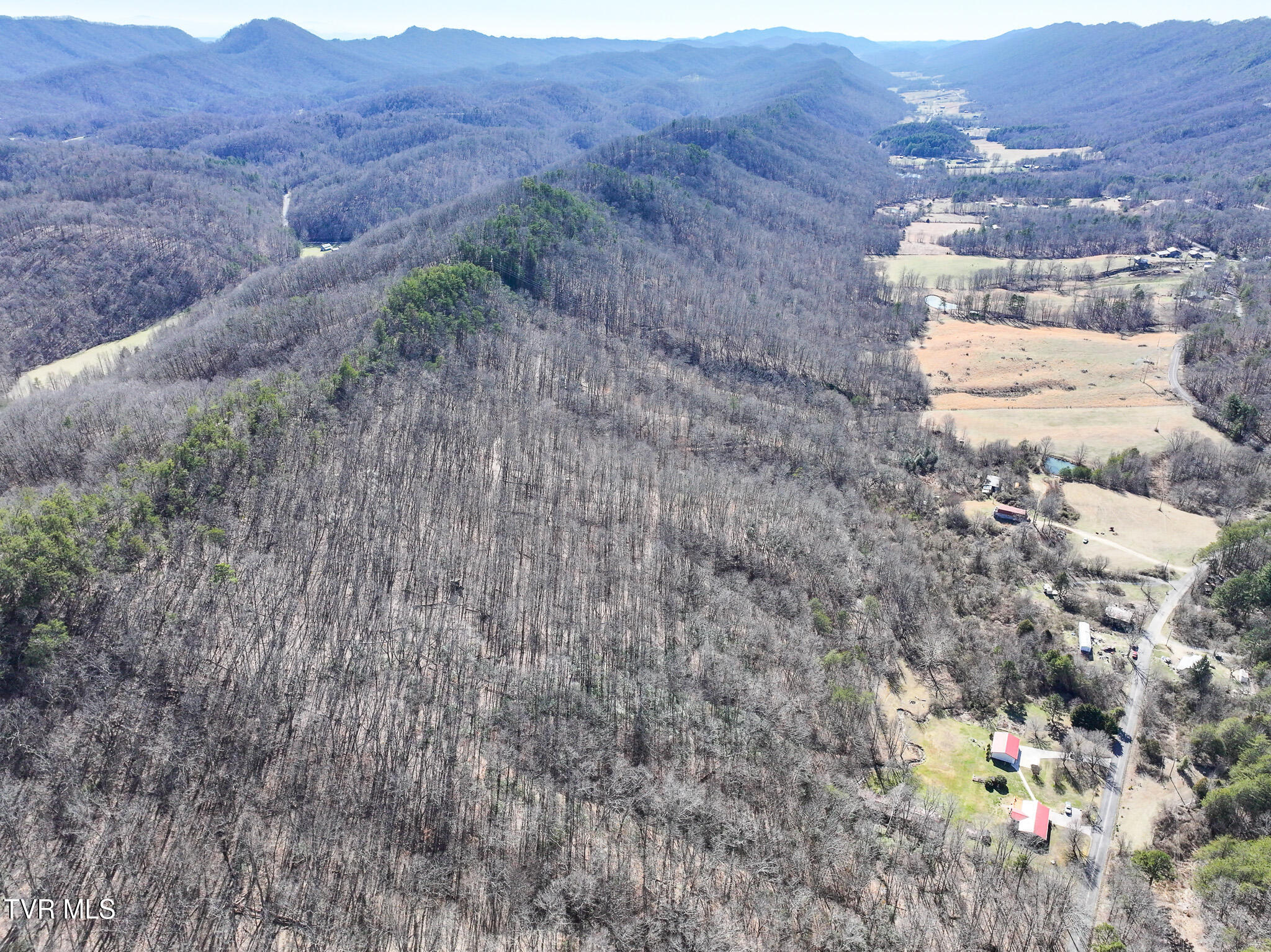 314 Cave Springs Road Rogersville, TN 37857 - Photo 58 of 70 DJI_20250303145328_0737_D