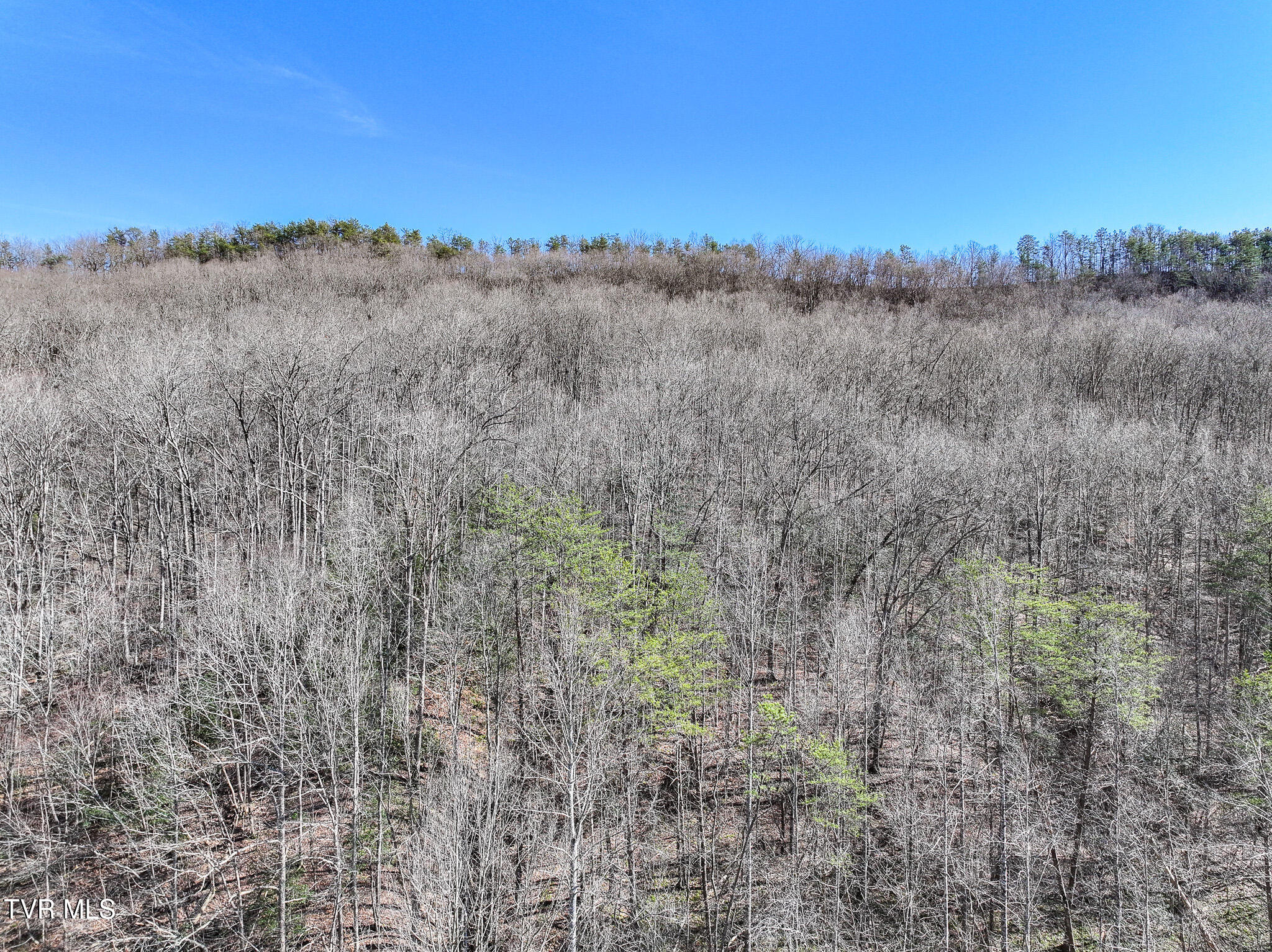 314 Cave Springs Road Rogersville, TN 37857 - Photo 65 of 70 DJI_20250303150236_0766_D