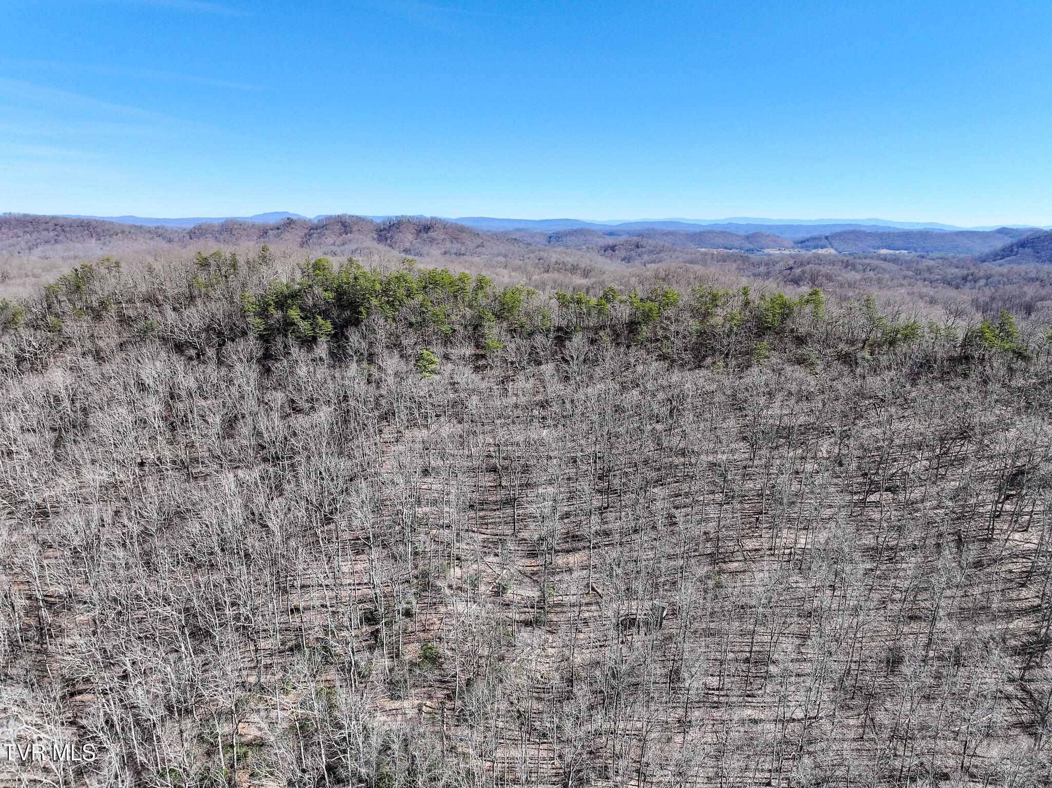 314 Cave Springs Road Rogersville, TN 37857 - Photo 66 of 70 DJI_20250303150257_0770_D