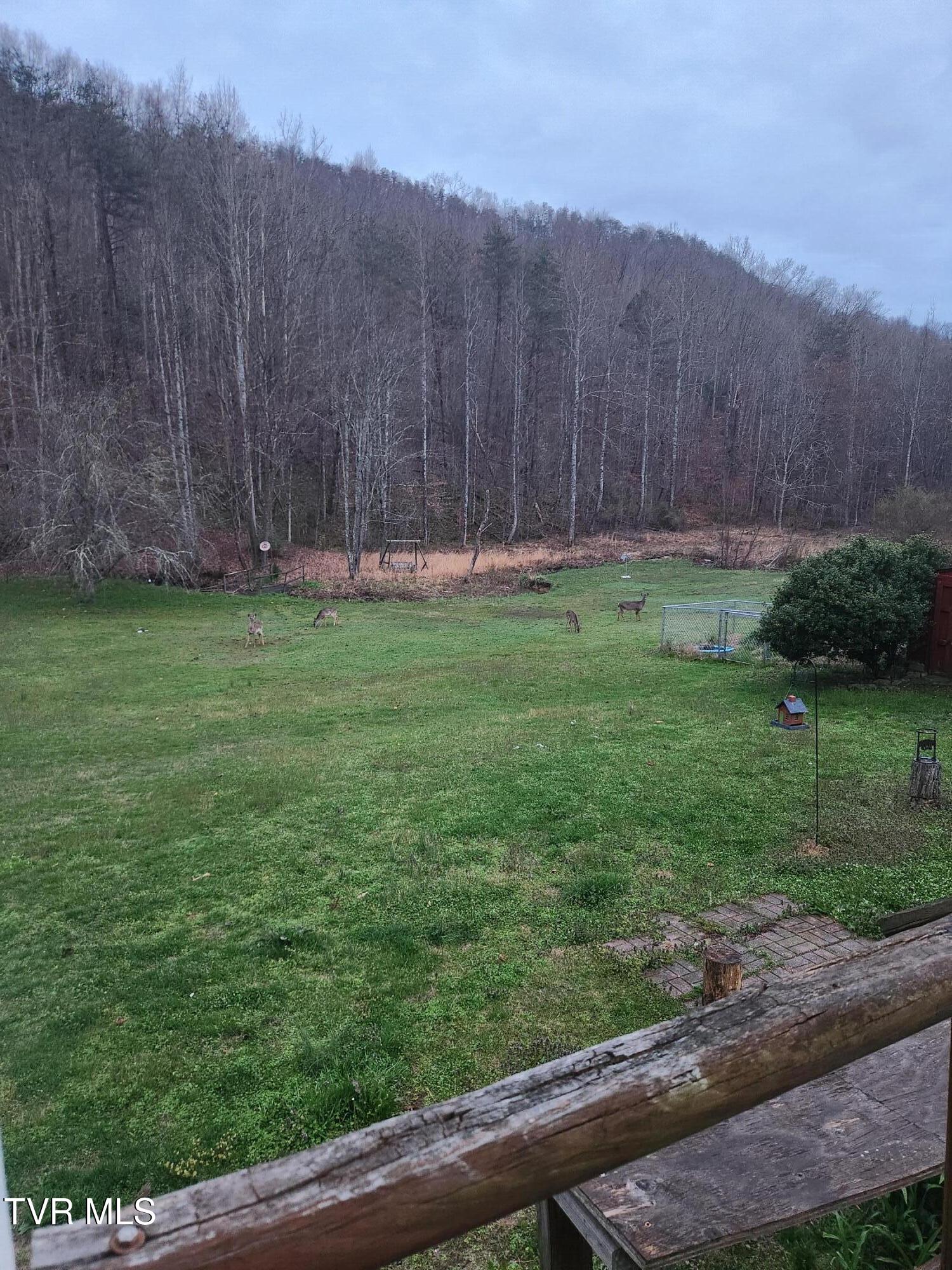 314 Cave Springs Road Rogersville, TN 37857 - Photo 68 of 70 1000009225