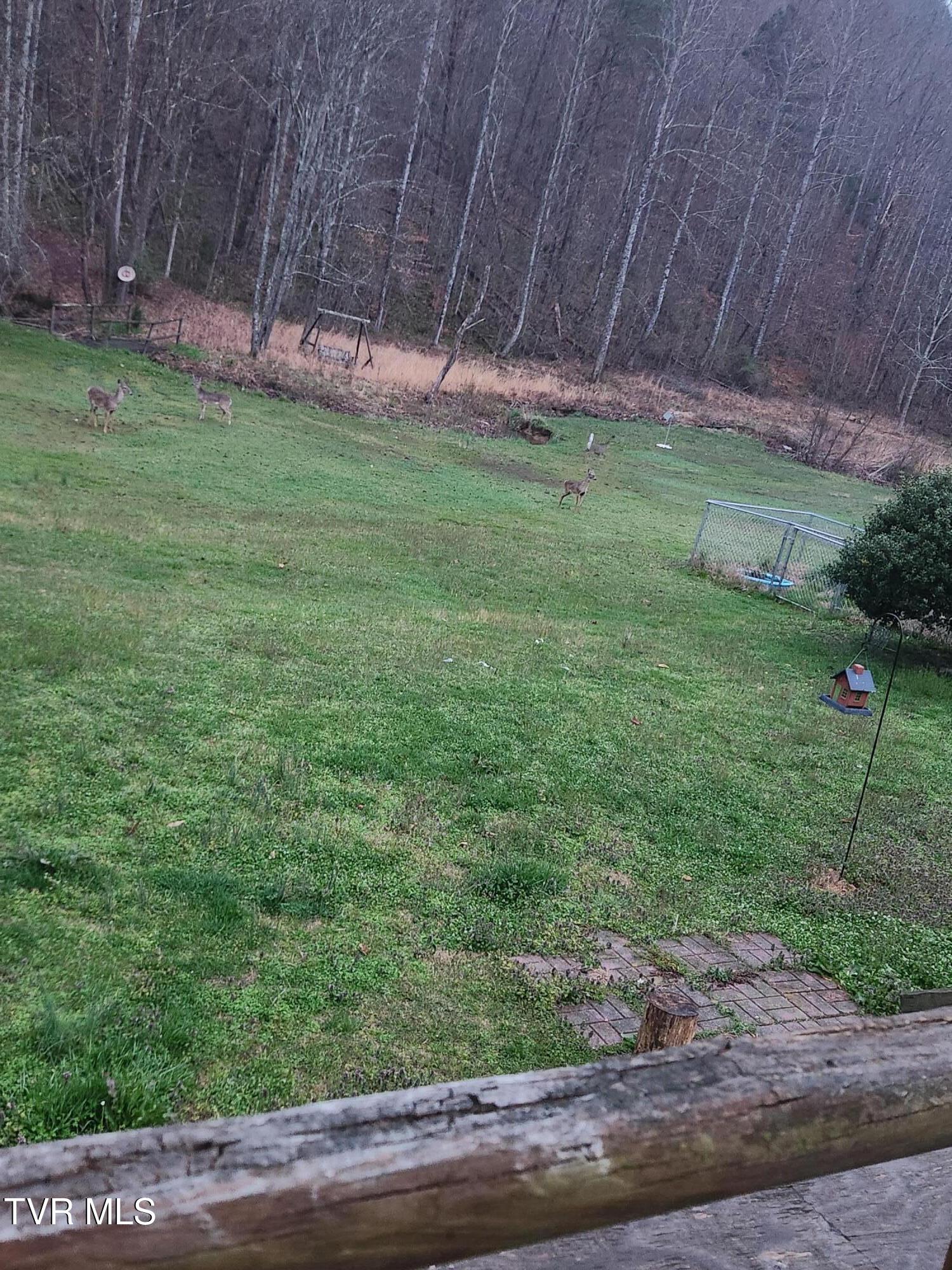 314 Cave Springs Road Rogersville, TN 37857 - Photo 69 of 70 1000009226