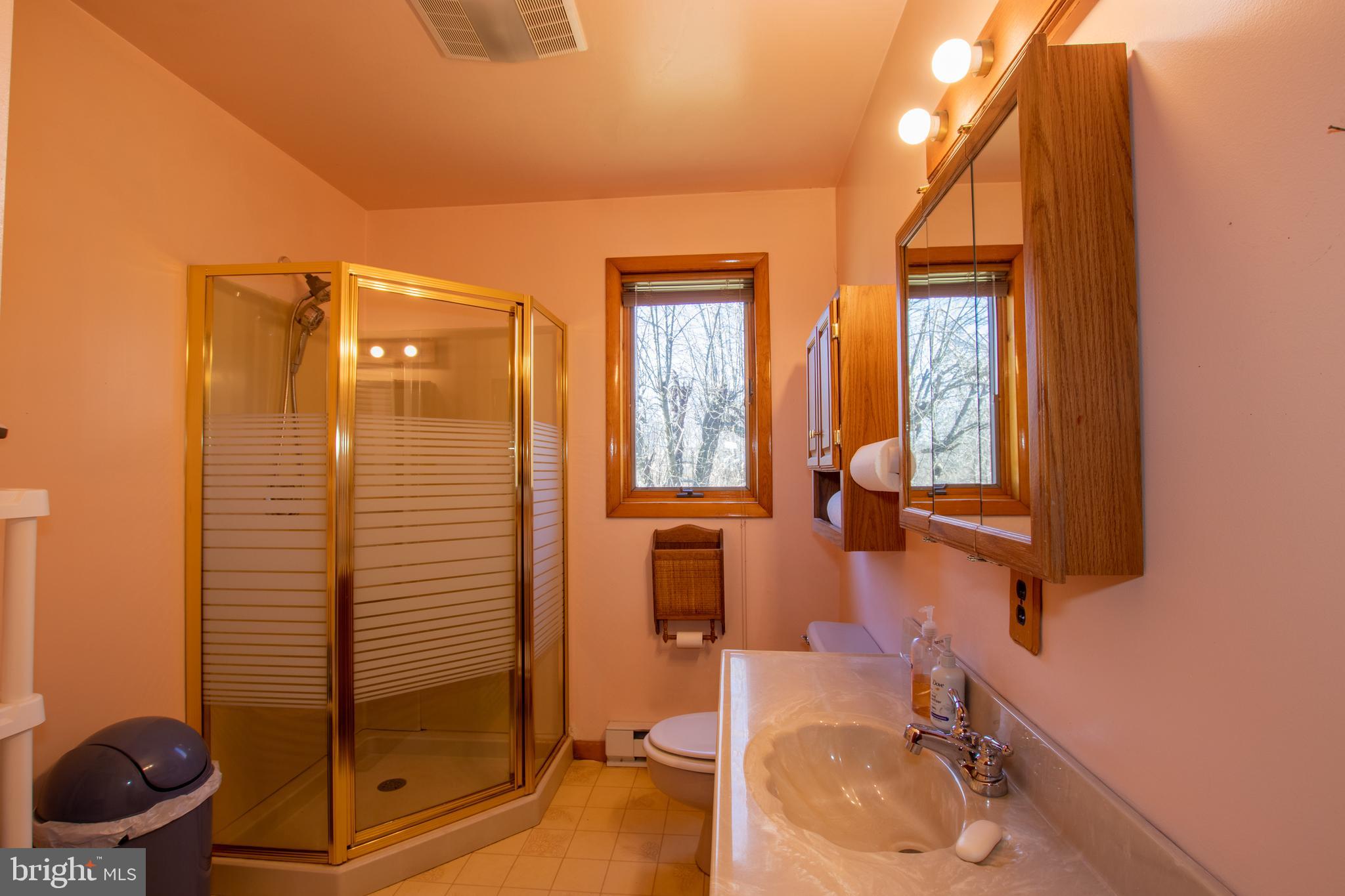 274 Robinson Road Salem, NJ 08079 - Photo 20 of 37 a bathroom with a sink and a mirror