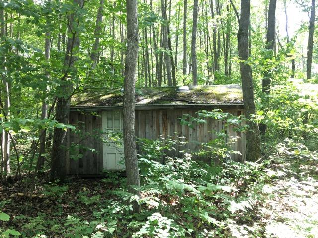 Tabitha Trail Mio, MI 48647 - Photo 9 of 22 Gallery Image 9