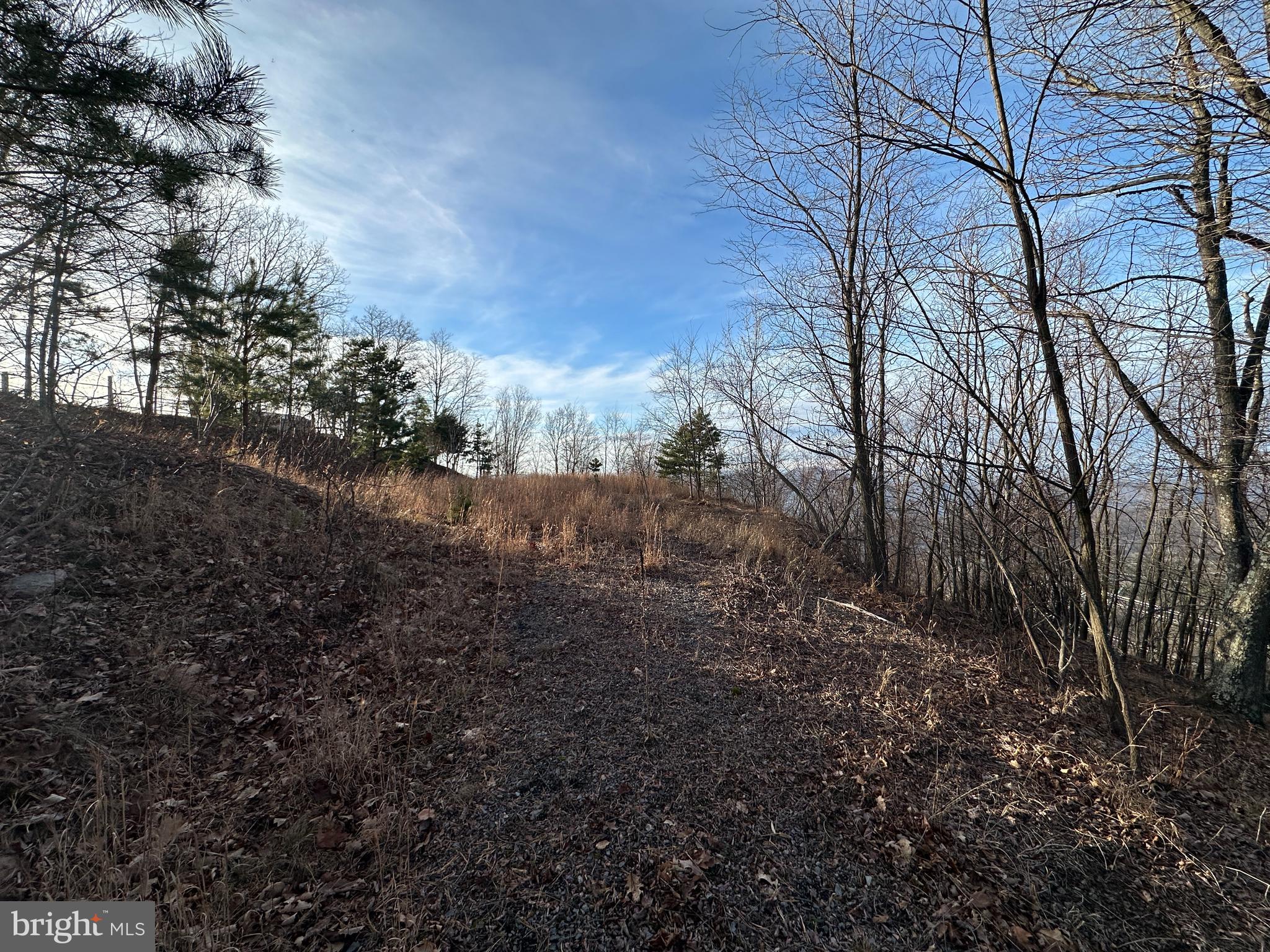 333 Nathaniel Mountain Road Moorefield, WV 26836 - Photo 31 of 65