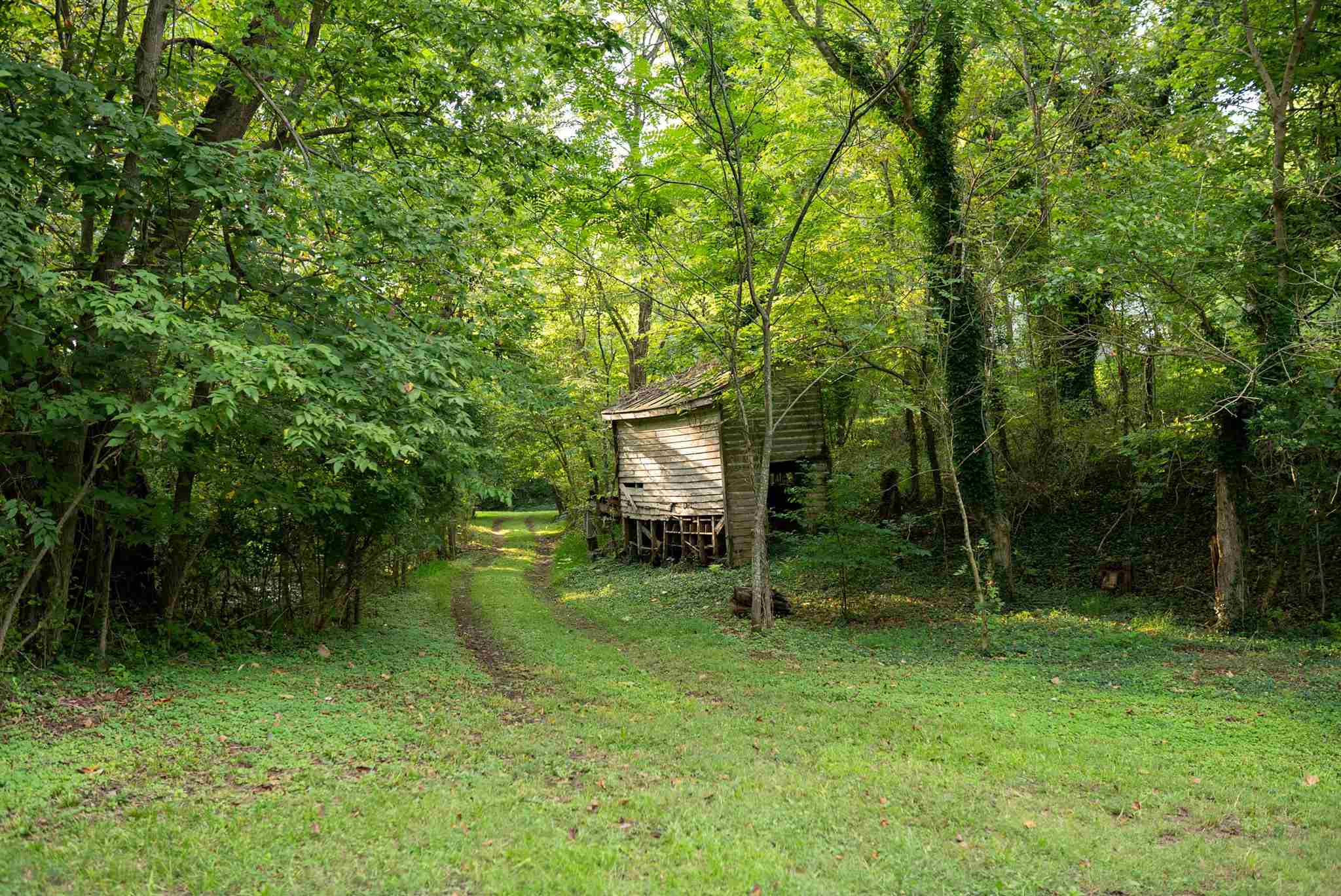 247 Smeltzers Road Rileyville, VA 22650 - Photo 3 of 26 Gallery Image 3