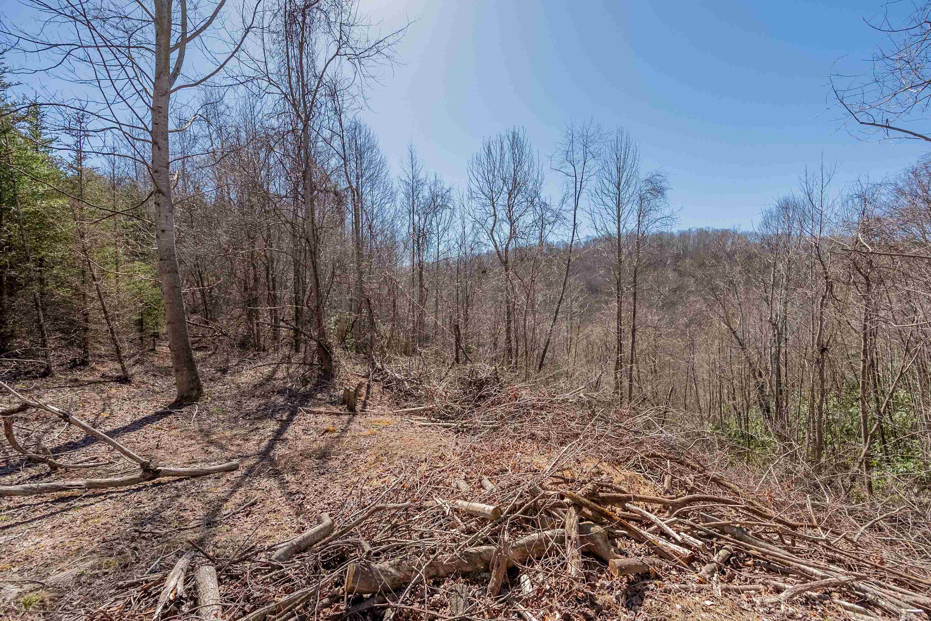 Tbd Southwest Tbd Sw Jeb Stuart Road Southwest Damascus, VA 24236 - Photo 77 of 113 Gallery Image 77