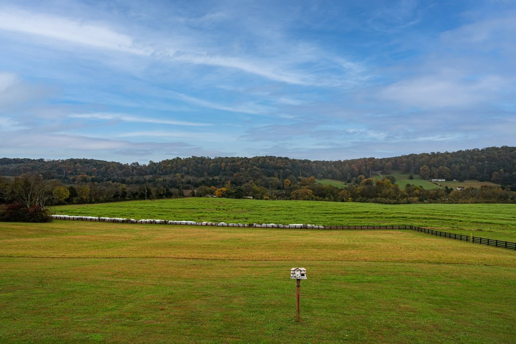 117 County Road 25 Riceville, TN 37370 - Photo 44 of 50 Gallery Image 44