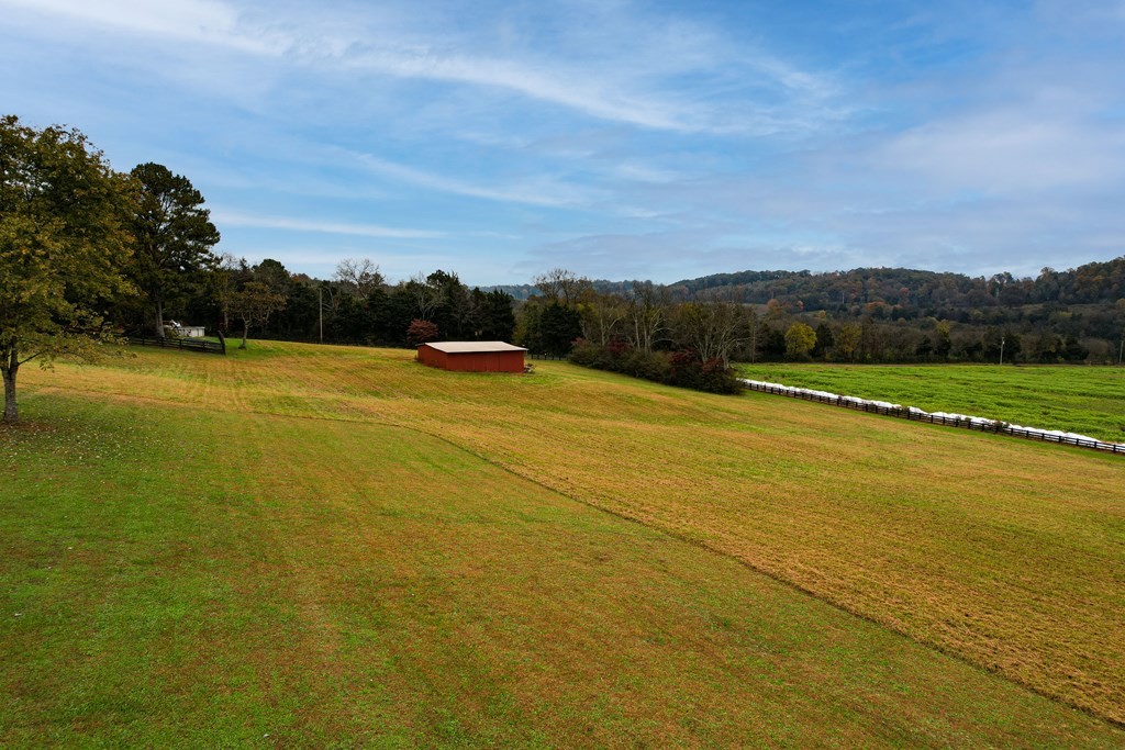 117 County Road 25 Riceville, TN 37370 - Photo 46 of 50 Gallery Image 46