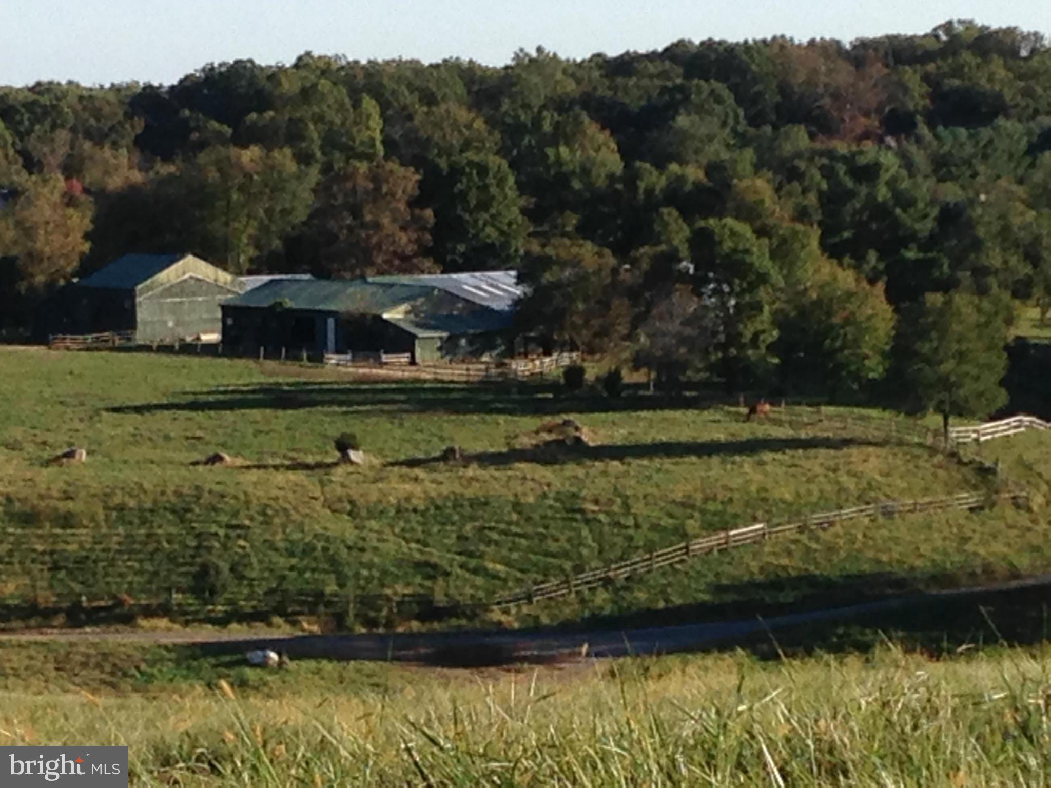 Utterback Store Road Great Falls, VA 22066 - Photo 4 of 8 View