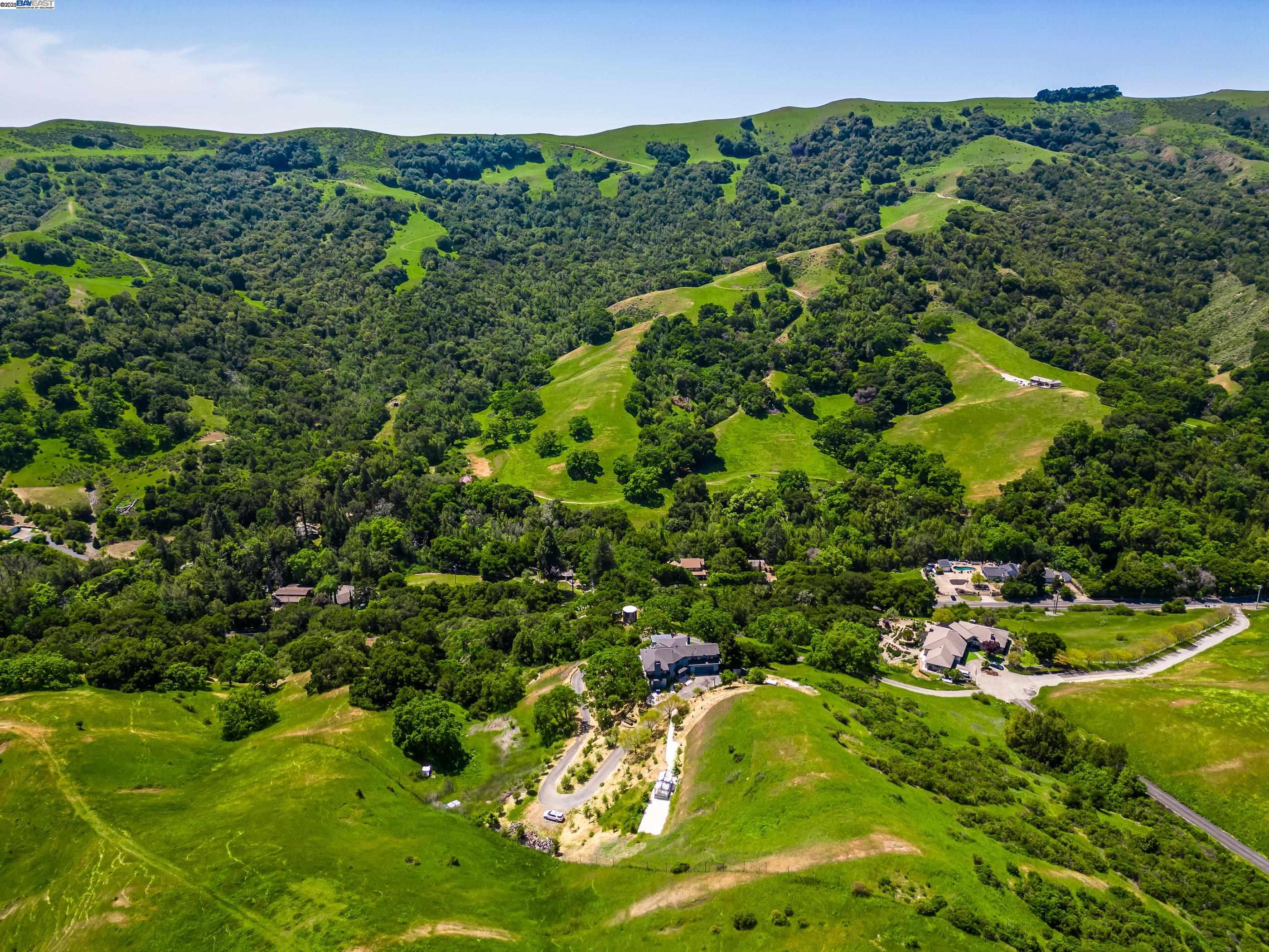 325 Bollinger Estates Court San Ramon, CA 94583 - Photo 2 of 59 a view of a large yard with plants and large trees