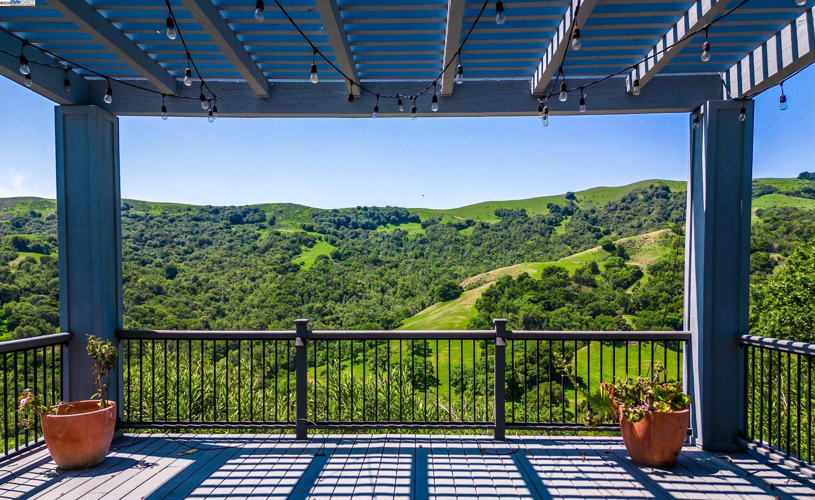 325 Bollinger Estates Court San Ramon, CA 94583 - Photo 51 of 59 a view of a balcony with lake view