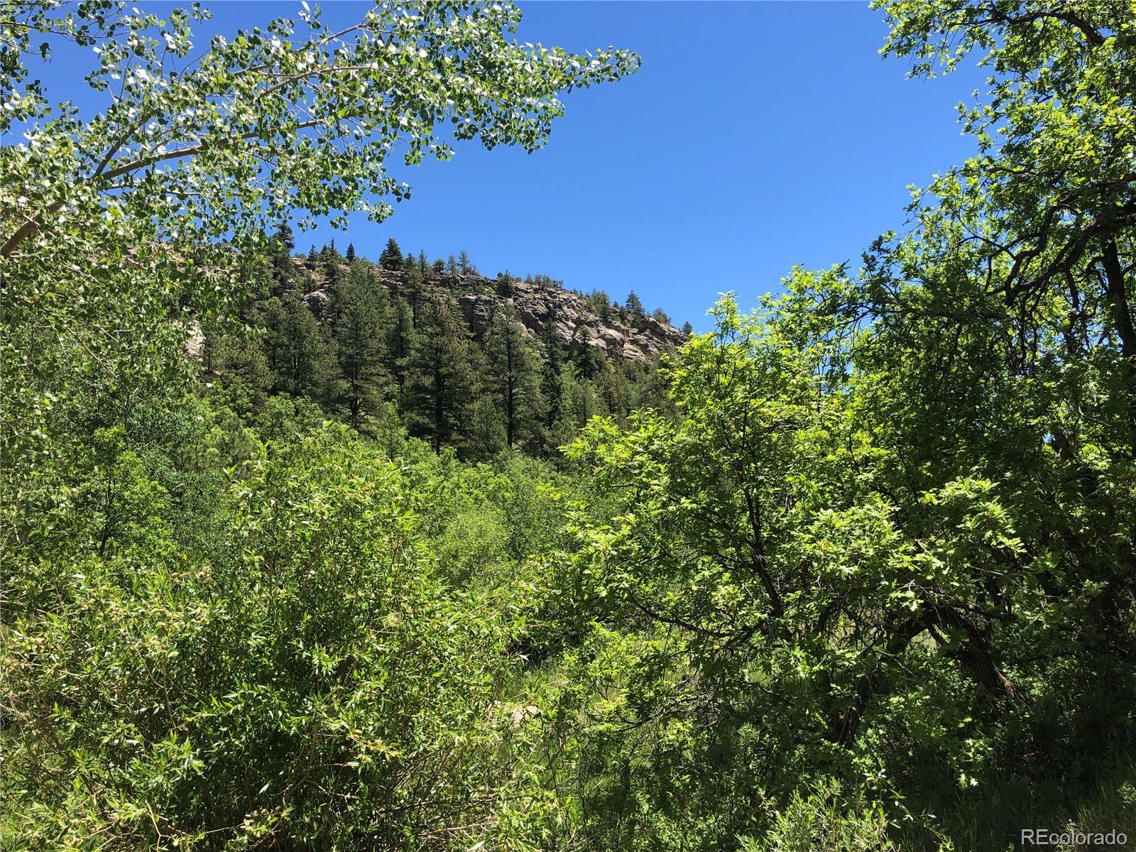 0 Hidden Creek Road Rye, CO 81069 - Photo 12 of 14 a view of a tree