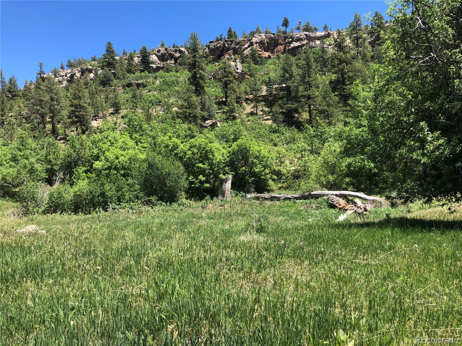 0 Hidden Creek Road Rye, CO 81069 - Photo 13 of 14 a view of a lush green field