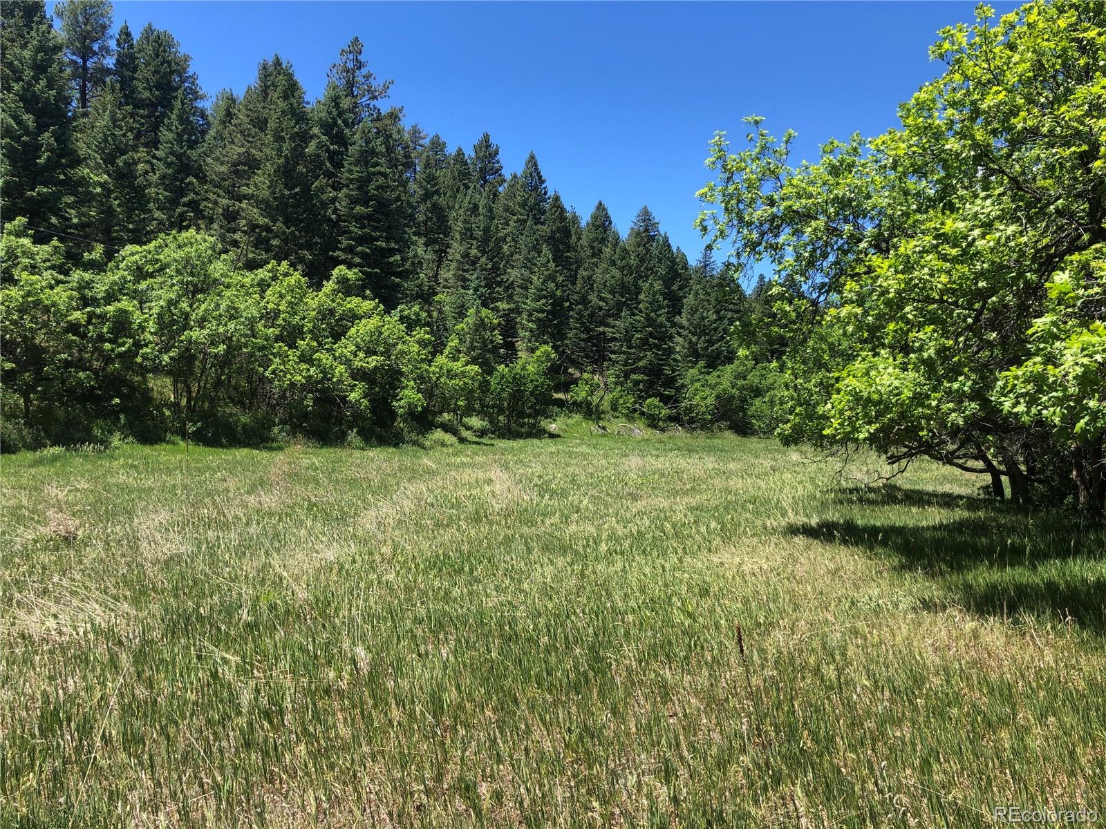 0 Hidden Creek Road Rye, CO 81069 - Photo 3 of 14 a view of a green field with trees in the background