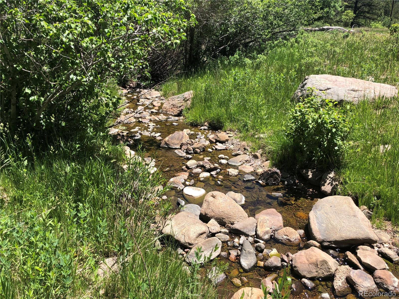 0 Hidden Creek Road Rye, CO 81069 - Photo 5 of 14 a view of a tree with lawn chairs and sitting space