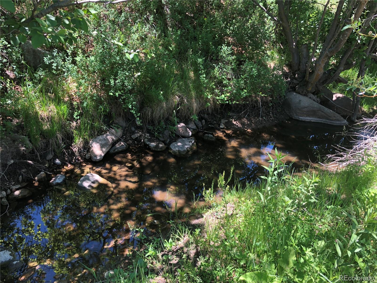 0 Hidden Creek Road Rye, CO 81069 - Photo 6 of 14 a picture of tree
