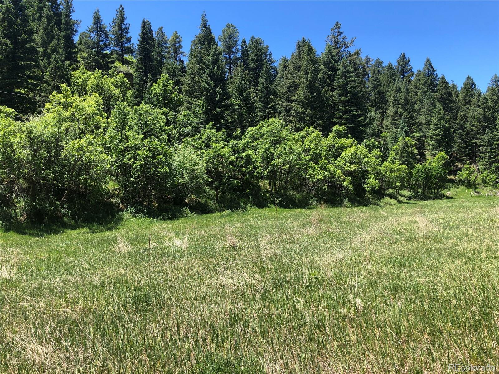 0 Hidden Creek Road Rye, CO 81069 - Photo 8 of 14 a view of a yard