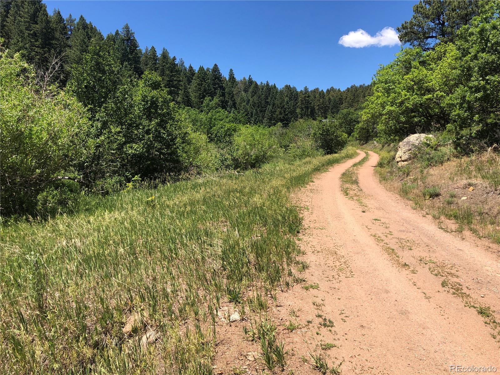 0 Hidden Creek Road Rye, CO 81069 - Photo 9 of 14 a view of a dry yard with trees in the background