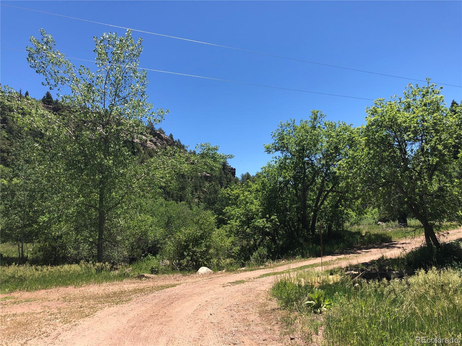 0 Hidden Creek Road Rye, CO 81069 - Photo 10 of 14 a view of a yard with a tree