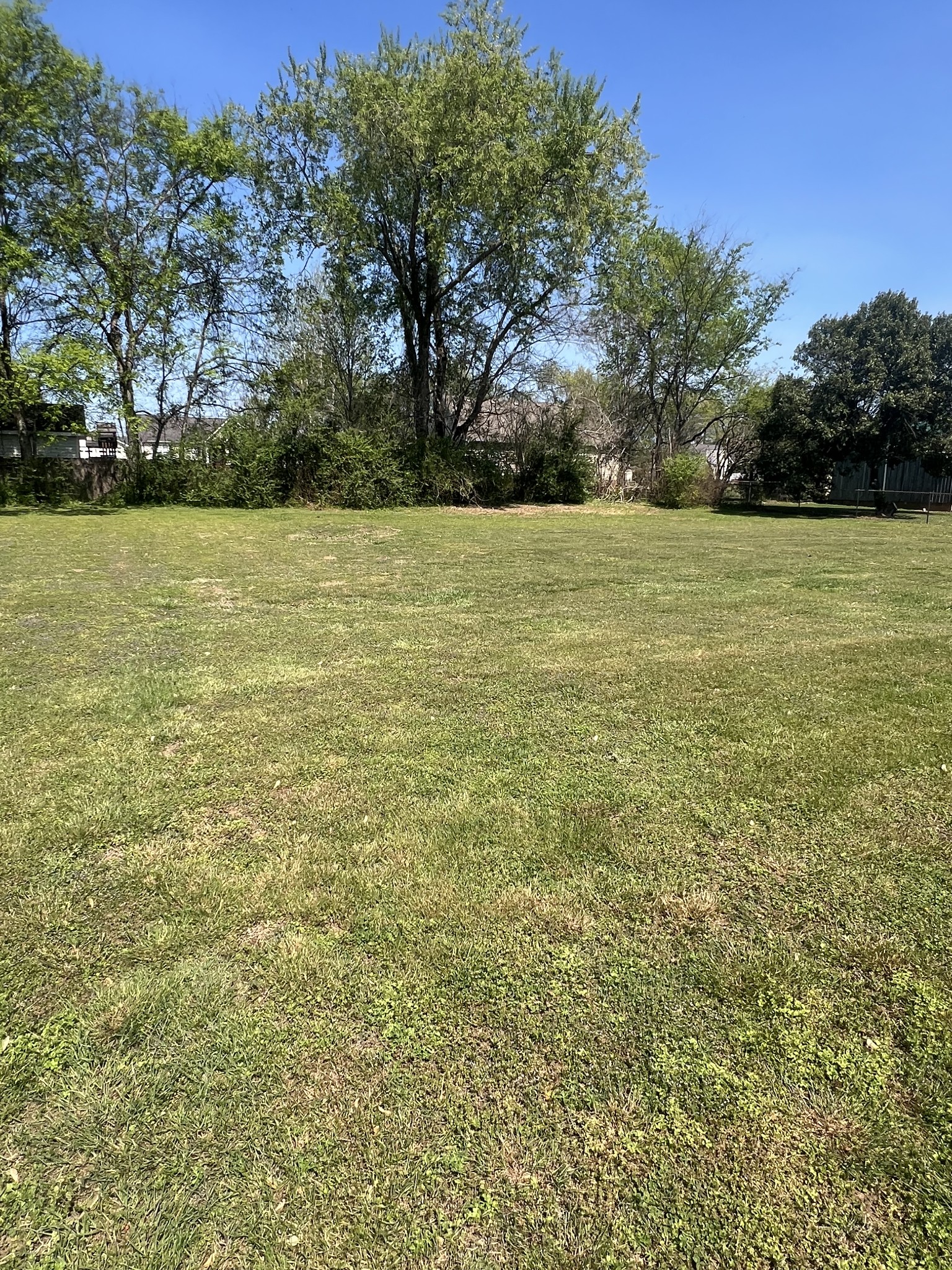 220 Apache Circle Pulaski, TN 38478 - Photo 4 of 25 a view of a field with an trees