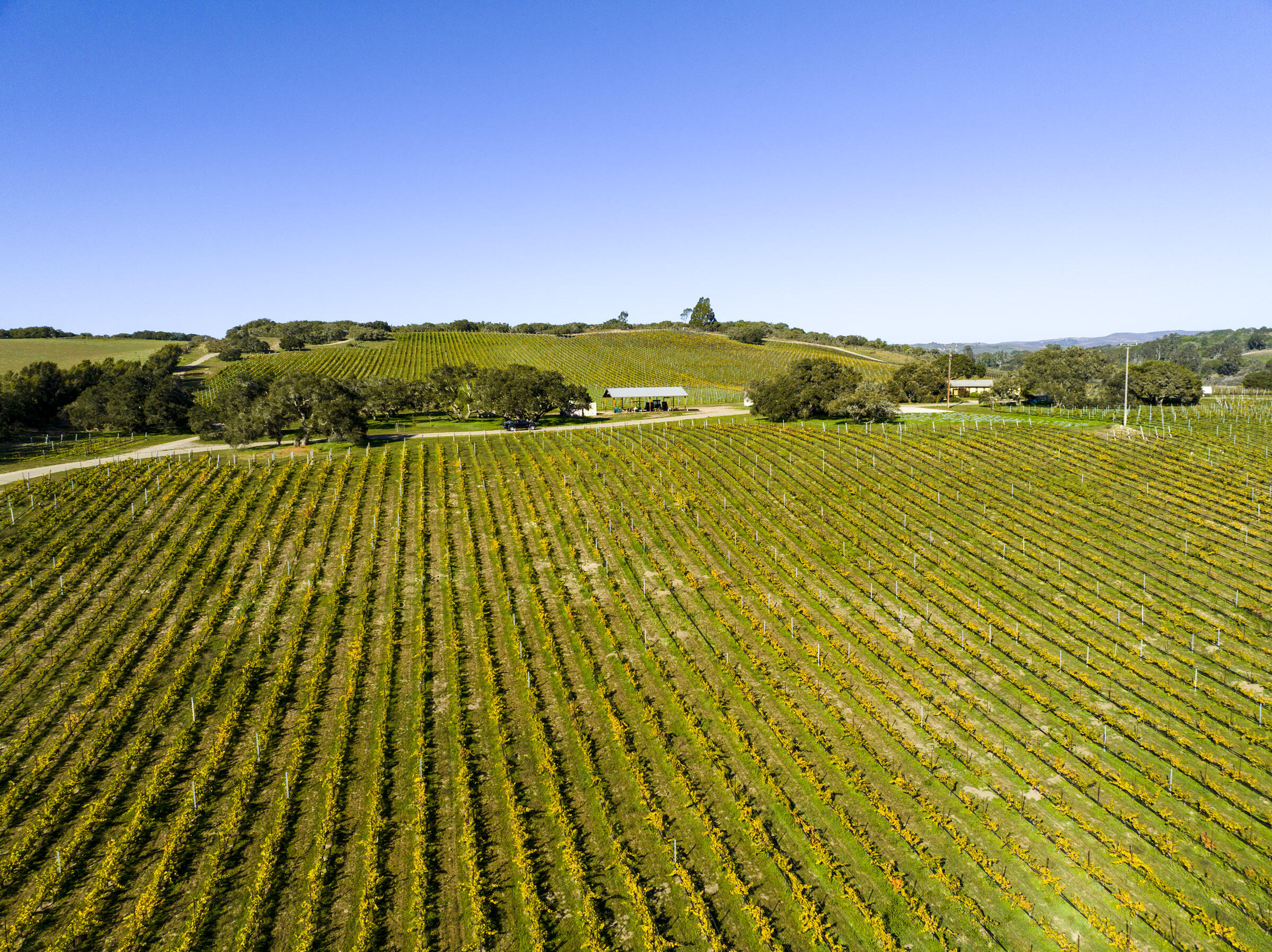 3145 Highway 246 Lompoc, CA 93436 - Photo 28 of 32 2755 Purisima Rd_0006