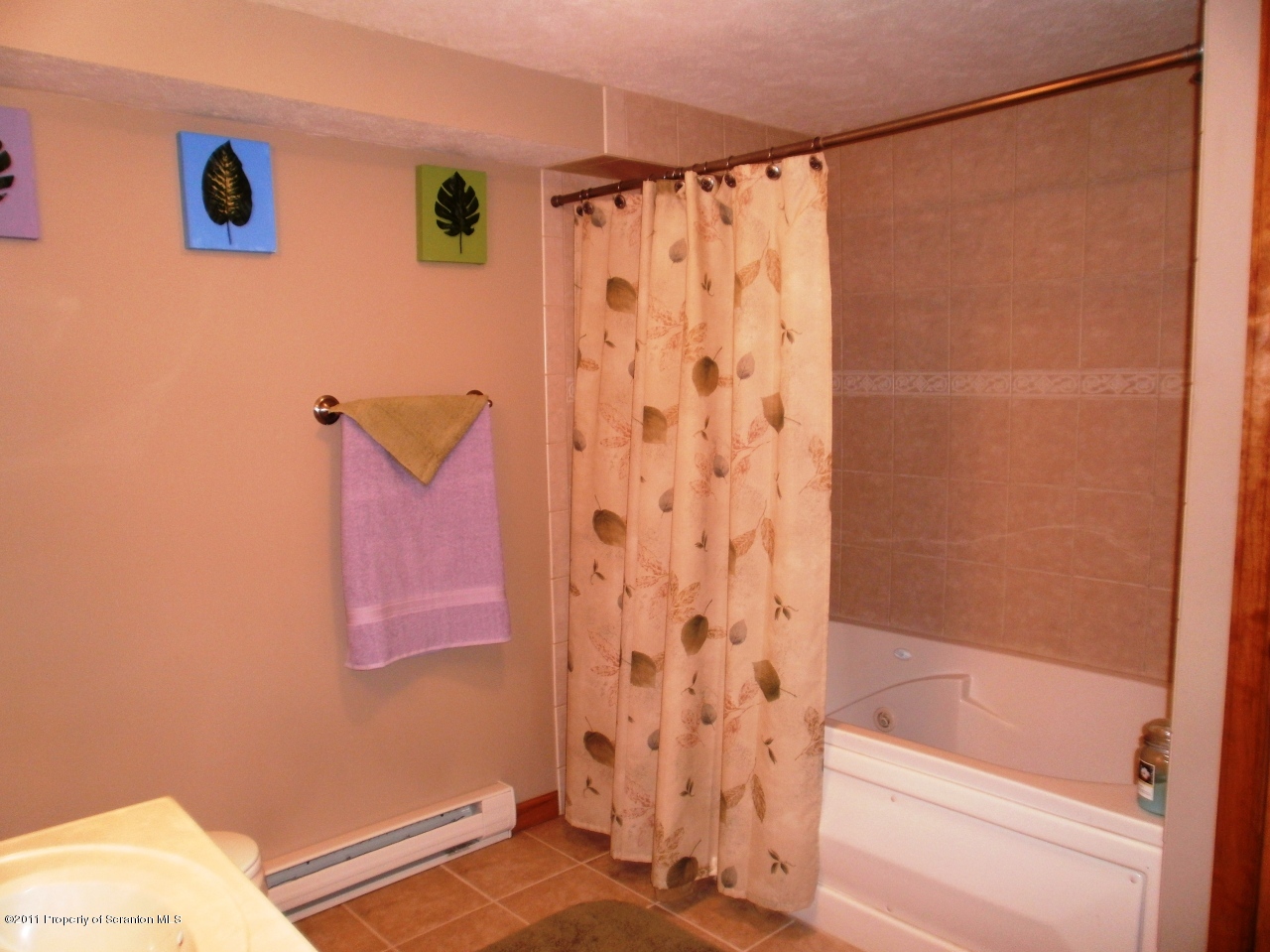 340 Aberdeen Road Moscow, PA 18444 - Photo 19 of 32 a bathroom with a bathtub and shower