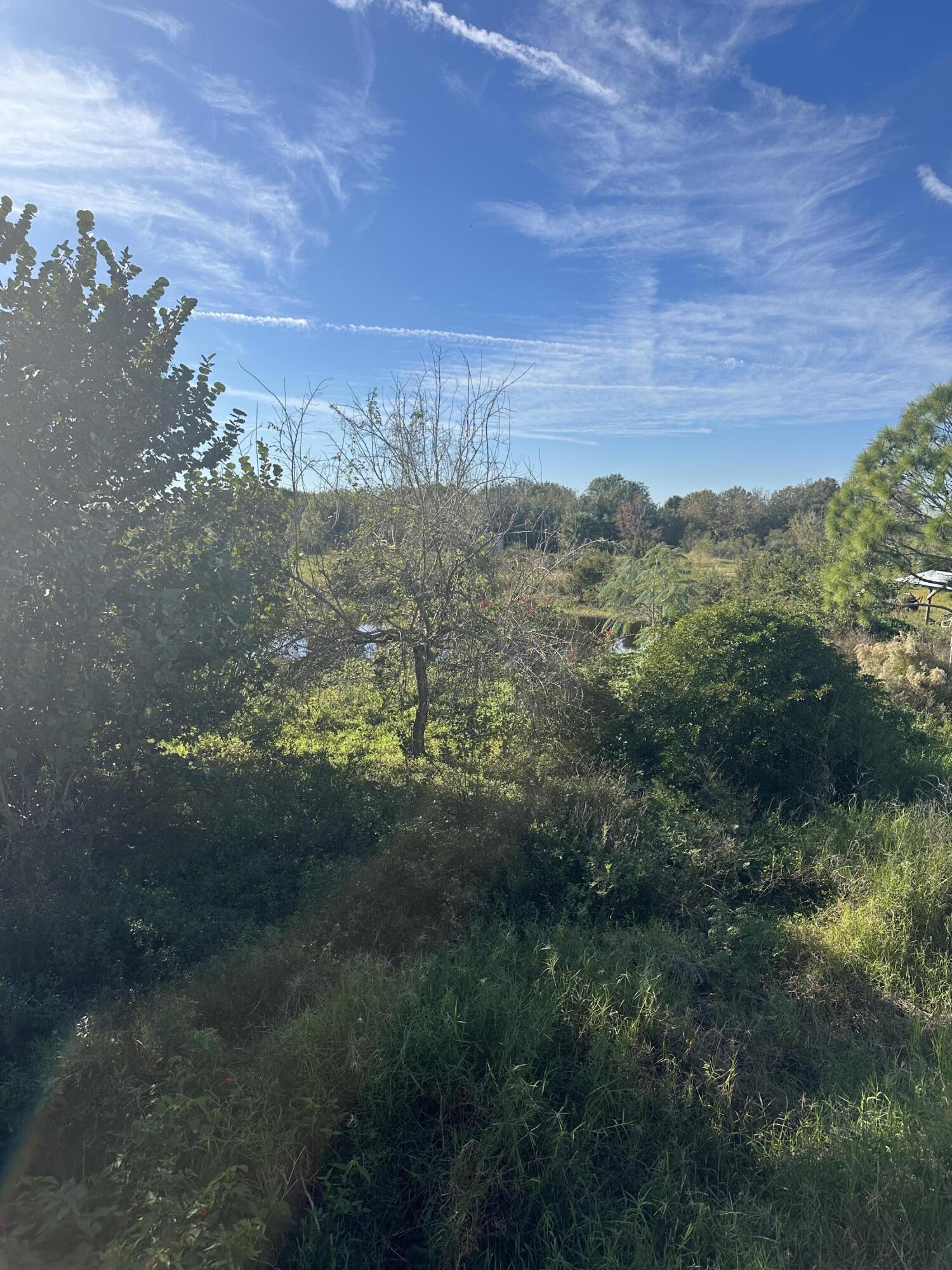 19632 Northwest 252nd Street Okeechobee, FL 34972 - Photo 3 of 11 a view of a city