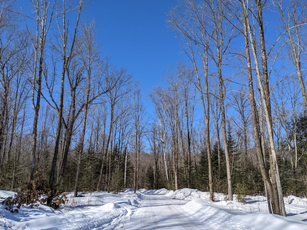 W5248 Berry Road Phillips, WI 54555 - Photo 15 of 37 Gallery Image 15