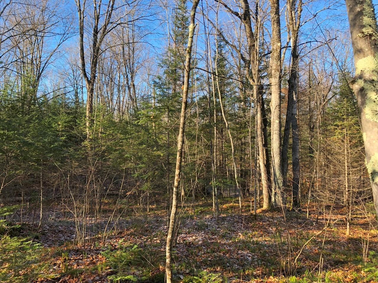 On East Bay Road, Unit LOT 3 Presque Isle, WI 54557 - Photo 16 of 22 Gallery Image 16