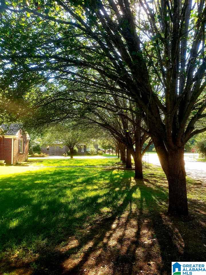 1565 19th Avenue Calera, AL 35040 - Photo 4 of 50