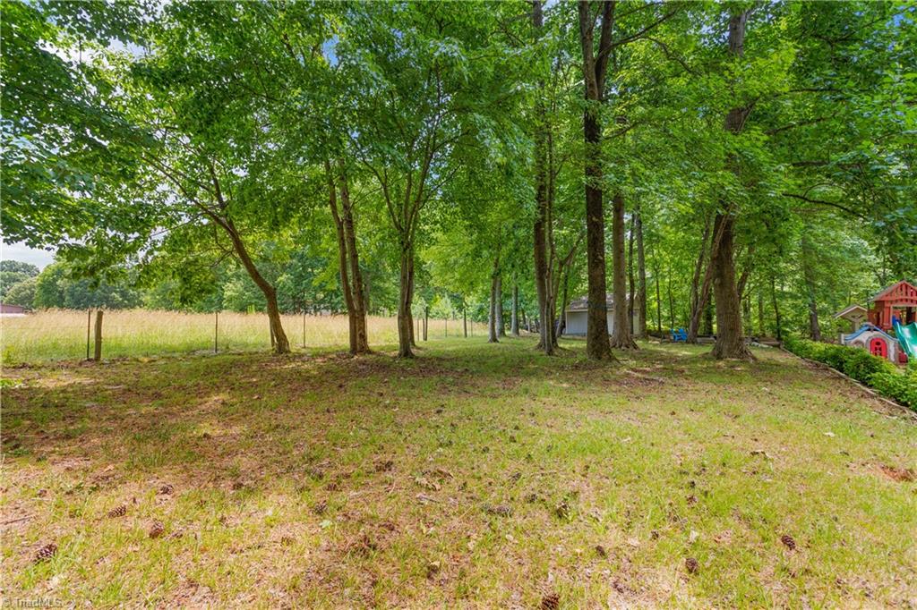 7405 Rader Court Climax, NC 27233 - Photo 36 of 37 Fabulous views from back yard