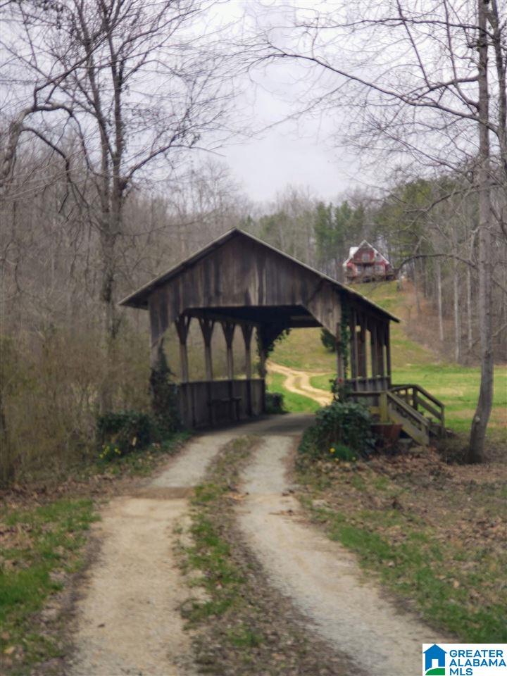 573 County Road 436 Fruithurst, AL 36262 - Photo 35 of 45