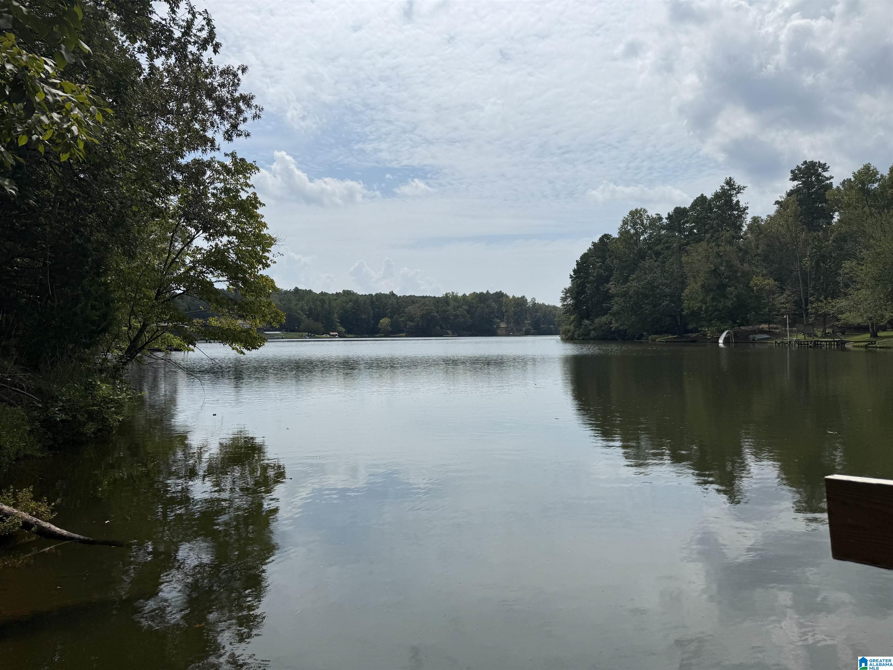 0 Lakeside Circle, Unit 31 Delta, AL 36258 - Photo 2 of 16