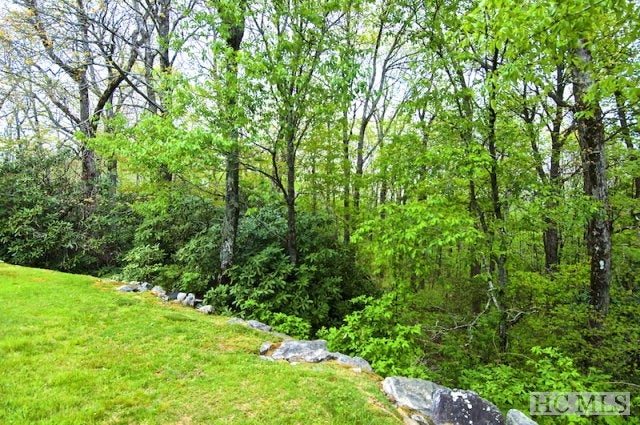 Lot 21 Highgate Road Highlands, NC 28741 - Photo 10 of 16 Gallery Image 10