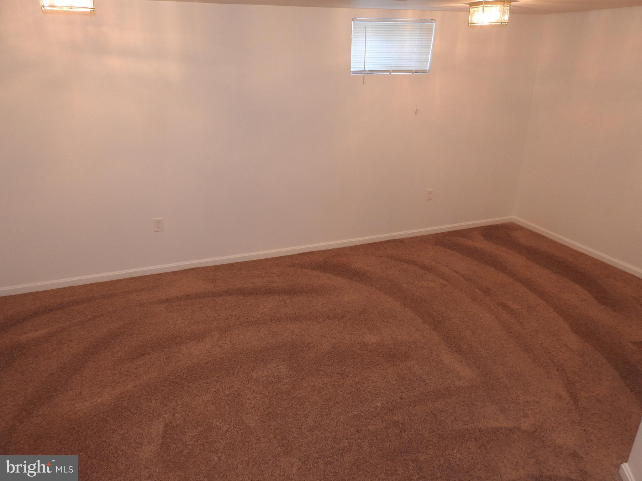 1845 Tubman Road Southeast Washington, DC 20020 - Photo 17 of 27 Basement