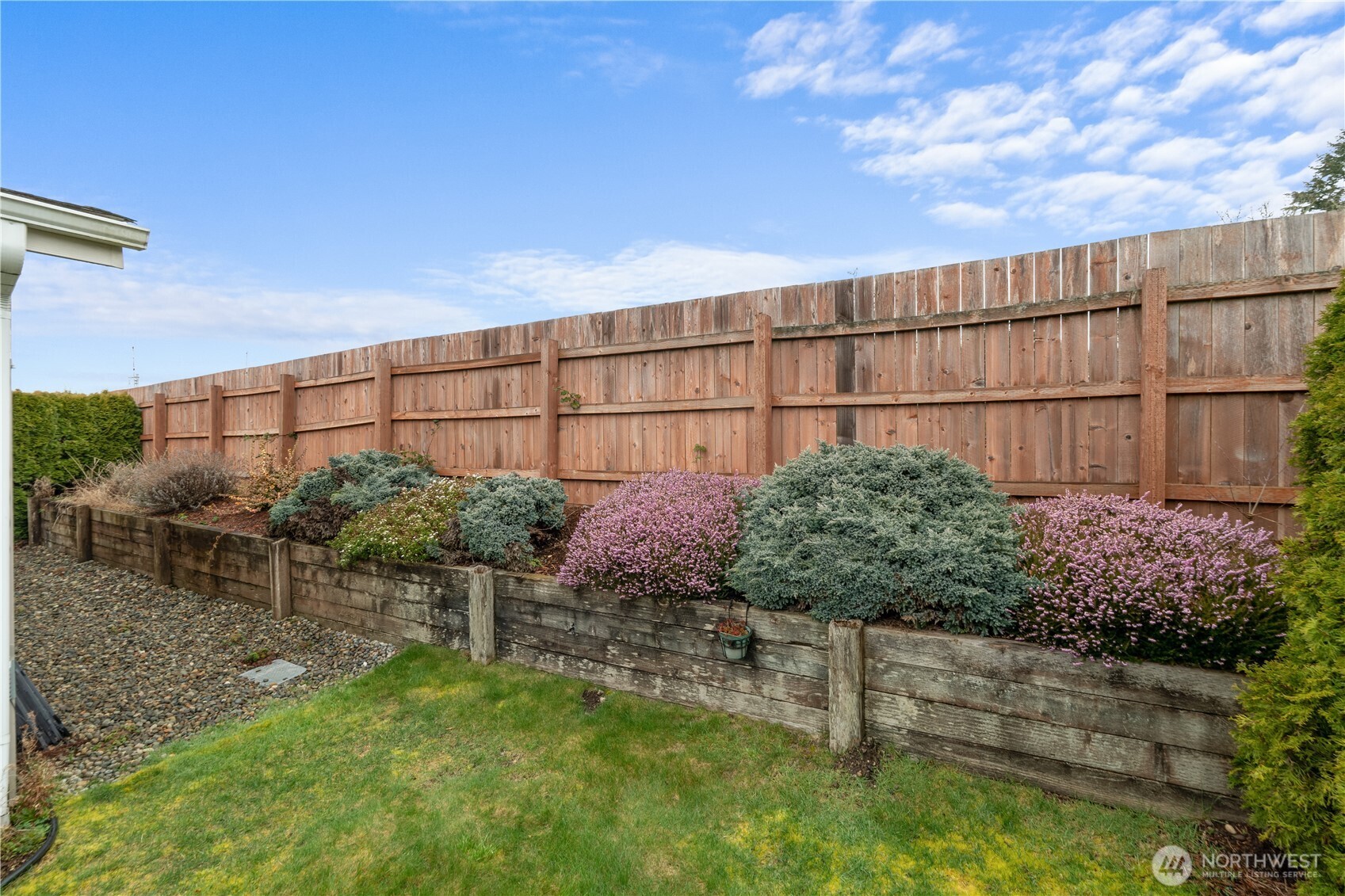 8014 18th Lane Southeast Lacey, WA 98503 - Photo 3 of 32 a backyard of a house with lots of green space