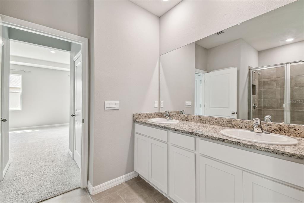 33870 Field Maple Loop Wesley Chapel, FL 33545 - Photo 21 of 38 a bathroom with a granite countertop sink and a mirror