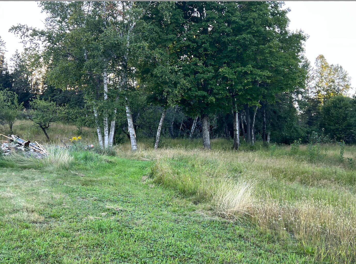 3121 Aroostook Road Eagle Lake, ME 04739 - Photo 6 of 29 Screen Shot 2022-08-20 at 9.36.41 PM