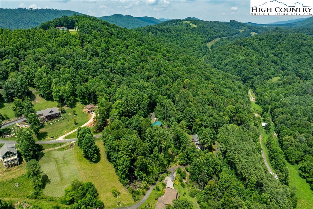 Lot 5 Lake Ridge Butler, TN 37640 - Photo 20 of 24