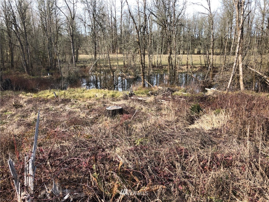 2107 Cooks Hill Road Centralia, WA 98531 - Photo 13 of 16 Gallery Image 13