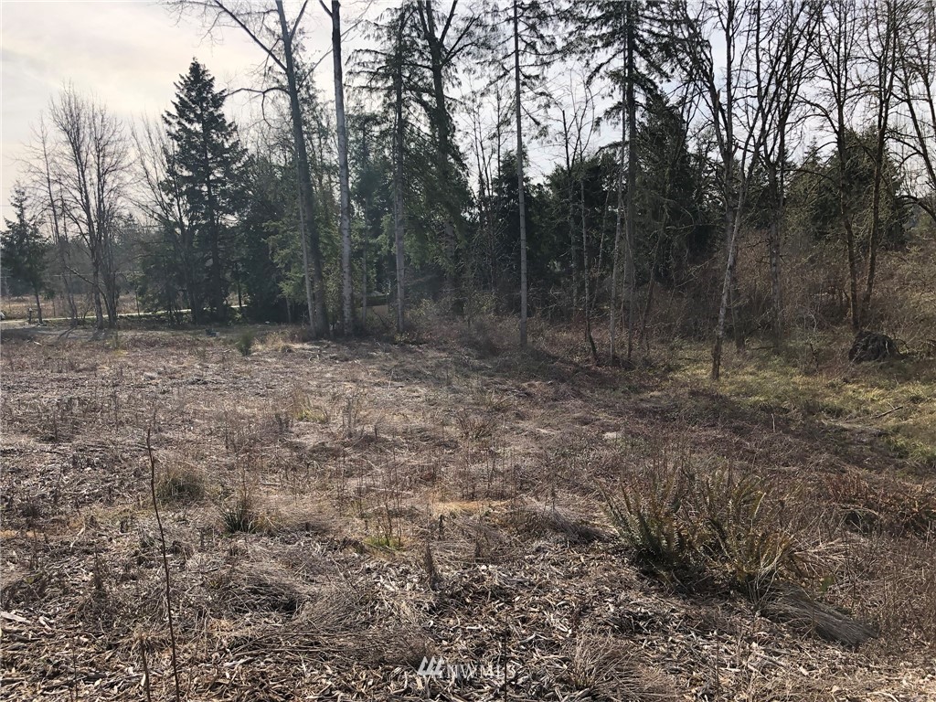 2107 Cooks Hill Road Centralia, WA 98531 - Photo 14 of 16 Gallery Image 14