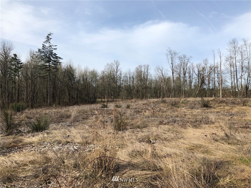 2107 Cooks Hill Road Centralia, WA 98531 - Photo 16 of 16 Gallery Image 16
