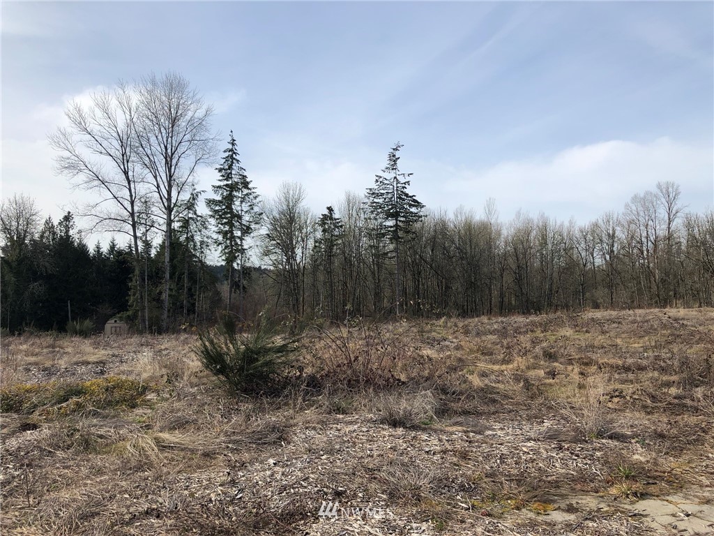 2107 Cooks Hill Road Centralia, WA 98531 - Photo 10 of 16 Gallery Image 10